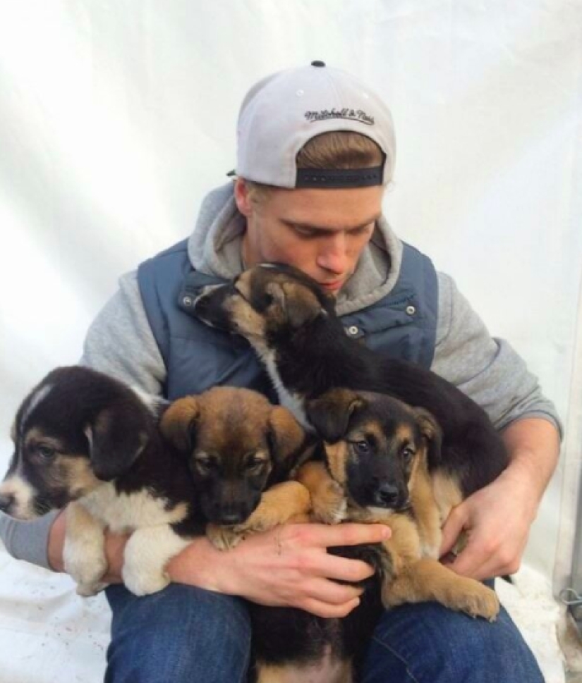 El esquiador de estilo libre Gus Kenworthy traerá un perro rescatado de Pyeongchang en lugar de una medalla El esquiador de estilo libre Gus Kenworthy traerá un perro rescatado de Pyeongchang en lugar de una medalla