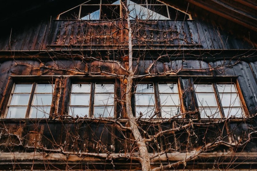 El fabuloso pueblo de Hallstatt a través de los ojos del fotógrafo georgiano Dito Tediashvili