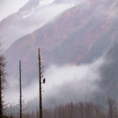 El fotógrafo Brady Cabe comparte sus pensamientos.