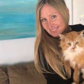 El gato caminó 20 km para encontrar a sus dueños, pero decidieron ponerlo a dormir