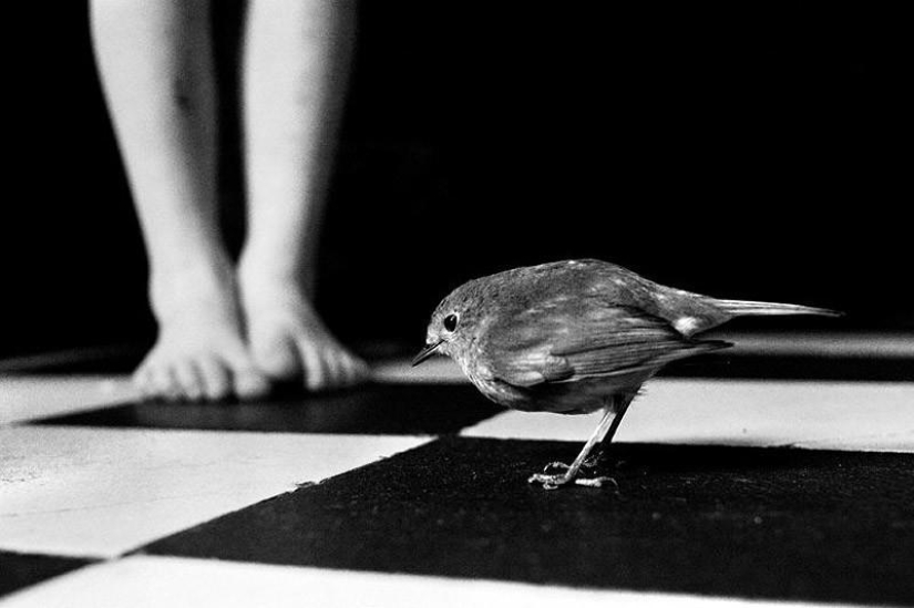 El álbum familiar más hermoso