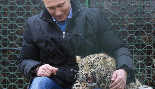 El" leopardo de Putin " fue atrapado robando pollos en un pueblo de Abjasia El" leopardo de Putin " fue atrapado robando pollos en un pueblo de Abjasia