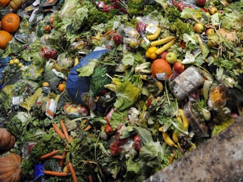 El momento de la descomposición de la basura en las fotos El momento de la descomposición de la basura en las fotos