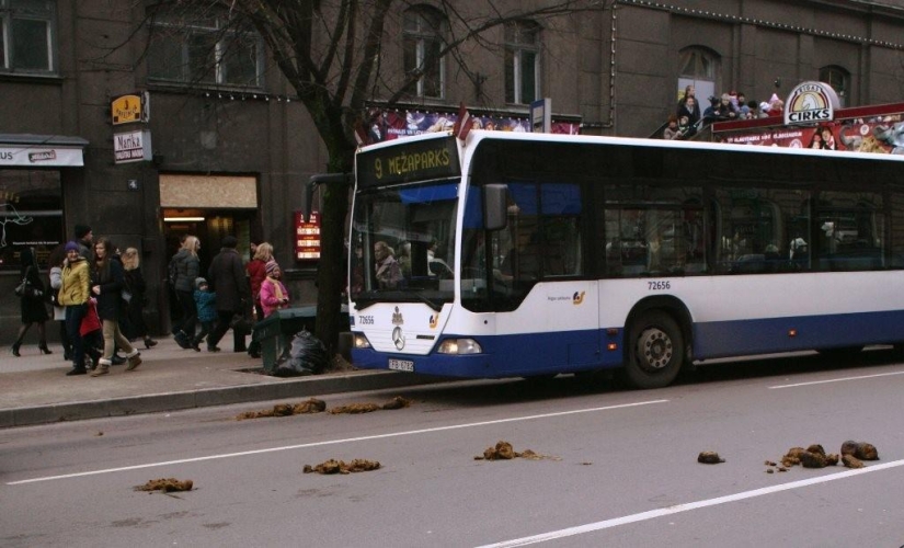 El momento de la descomposición de la basura en las fotos El momento de la descomposición de la basura en las fotos