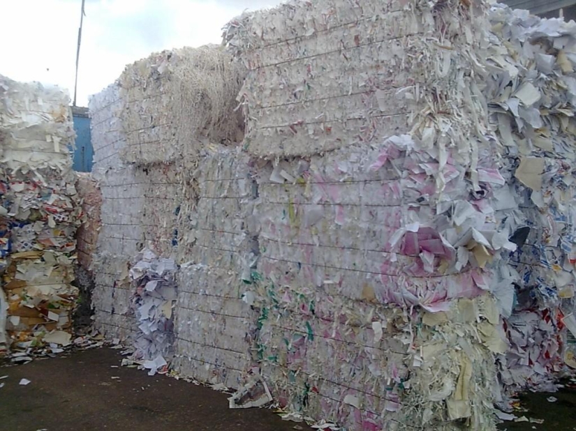 El momento de la descomposición de la basura en las fotos El momento de la descomposición de la basura en las fotos