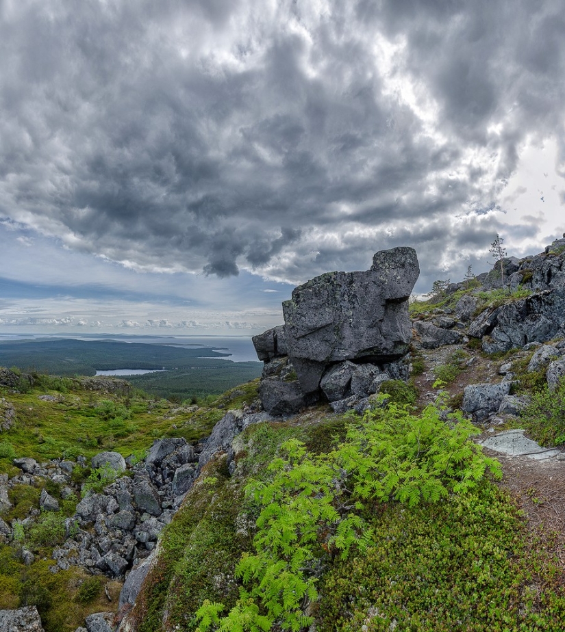 El Parque Nacional Paanajarvi es un lugar donde el tiempo se ralentiza El Parque Nacional Paanajarvi es un lugar donde el tiempo se ralentiza
