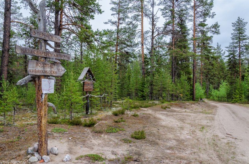 El Parque Nacional Paanajarvi es un lugar donde el tiempo se ralentiza El Parque Nacional Paanajarvi es un lugar donde el tiempo se ralentiza