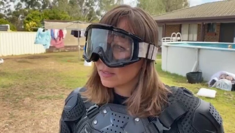 El periodista se vistió con un chaleco antibalas para una reunión con un koala, un "oso venenoso malvado"