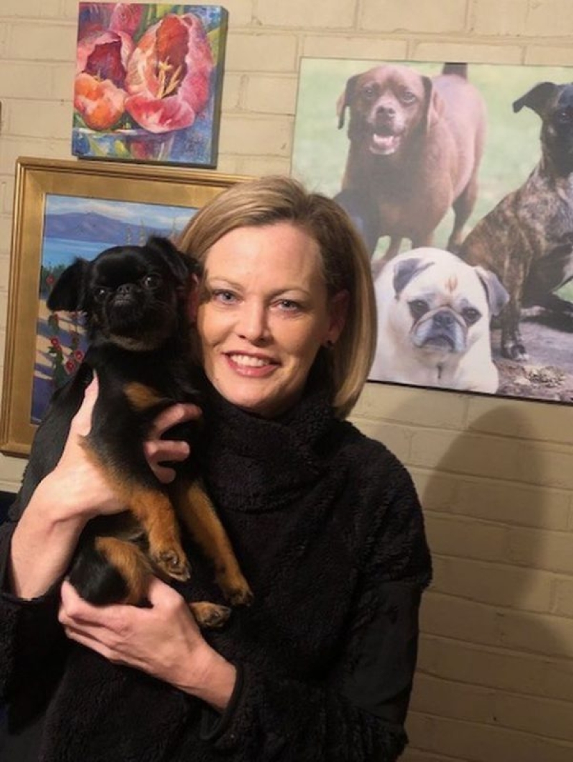 El perro" enojado " Chico se ha convertido en un meme y en el favorito de los internautas