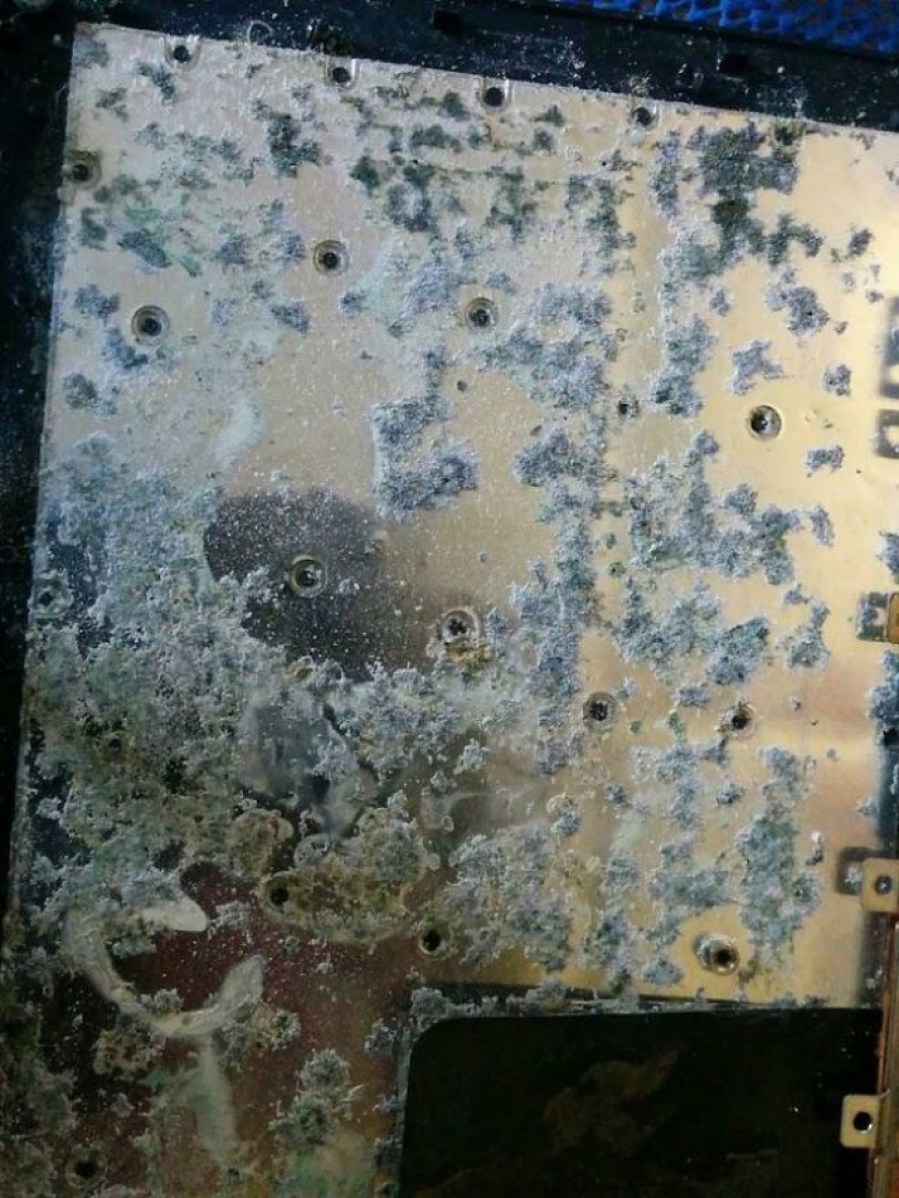 El personal de apoyo habla sobre los peores casos que han vivido en el trabajo