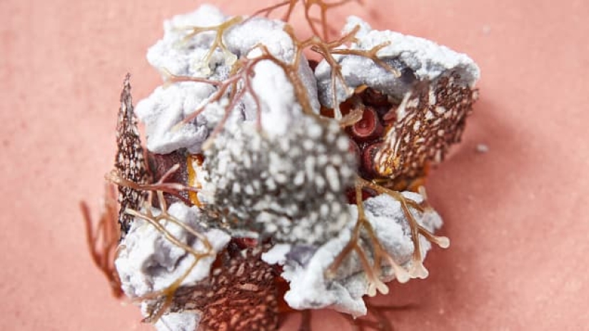 El restaurante ruso fue incluido en la lista de los 15 mejores restaurantes del mundo en 2018 por primera vez El restaurante ruso fue incluido en la lista de los 15 mejores restaurantes del mundo en 2018 por primera vez