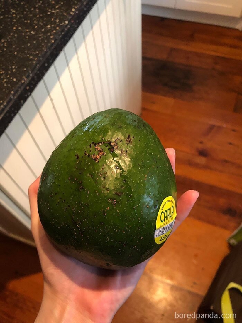 El tamaño importa! 30+ ejemplos, cuando los mensajeros trajeron el gigante de frutas y verduras El tamaño importa! 30+ ejemplos, cuando los mensajeros trajeron el gigante de frutas y verduras