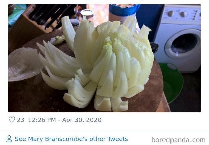 El tamaño importa! 30+ ejemplos, cuando los mensajeros trajeron el gigante de frutas y verduras El tamaño importa! 30+ ejemplos, cuando los mensajeros trajeron el gigante de frutas y verduras