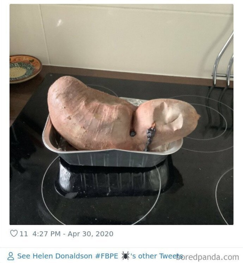 El tamaño importa! 30+ ejemplos, cuando los mensajeros trajeron el gigante de frutas y verduras El tamaño importa! 30+ ejemplos, cuando los mensajeros trajeron el gigante de frutas y verduras