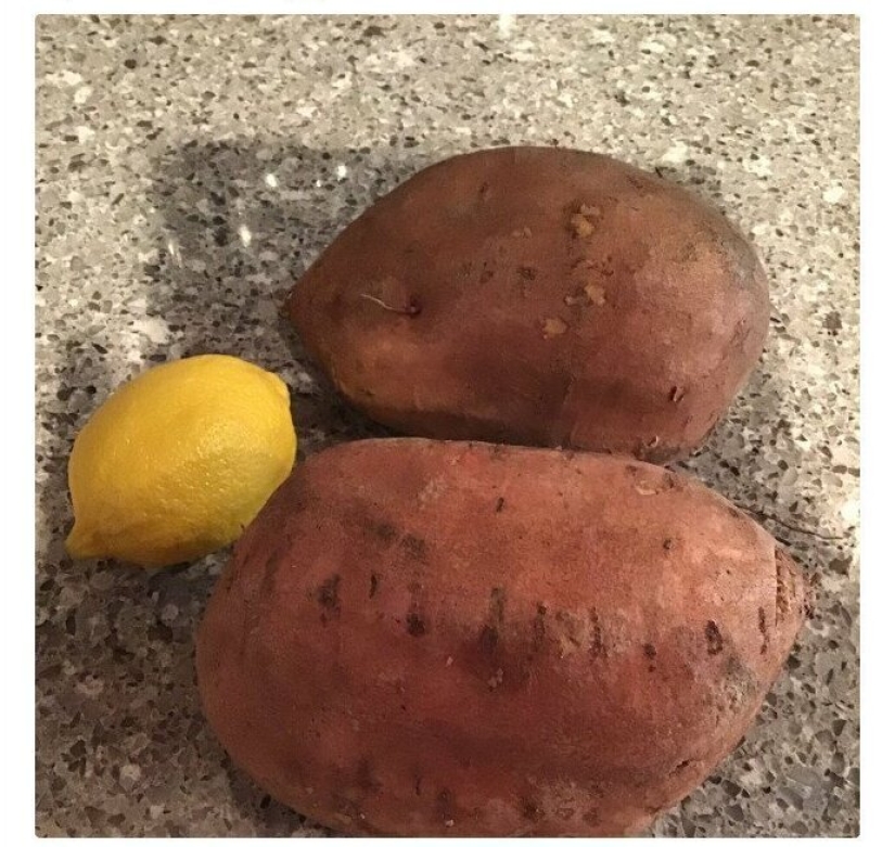 El tamaño importa! 30+ ejemplos, cuando los mensajeros trajeron el gigante de frutas y verduras El tamaño importa! 30+ ejemplos, cuando los mensajeros trajeron el gigante de frutas y verduras