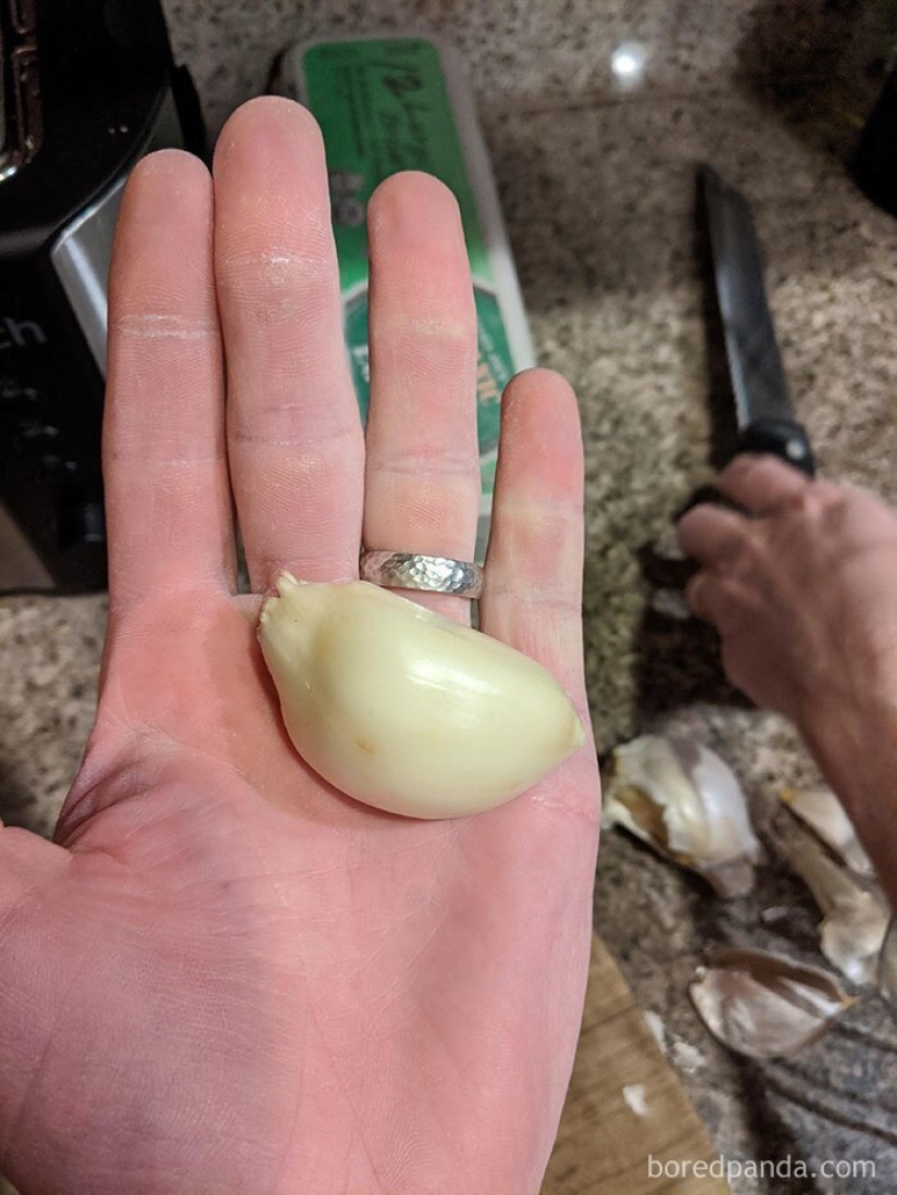 El tamaño importa! 30+ ejemplos, cuando los mensajeros trajeron el gigante de frutas y verduras El tamaño importa! 30+ ejemplos, cuando los mensajeros trajeron el gigante de frutas y verduras