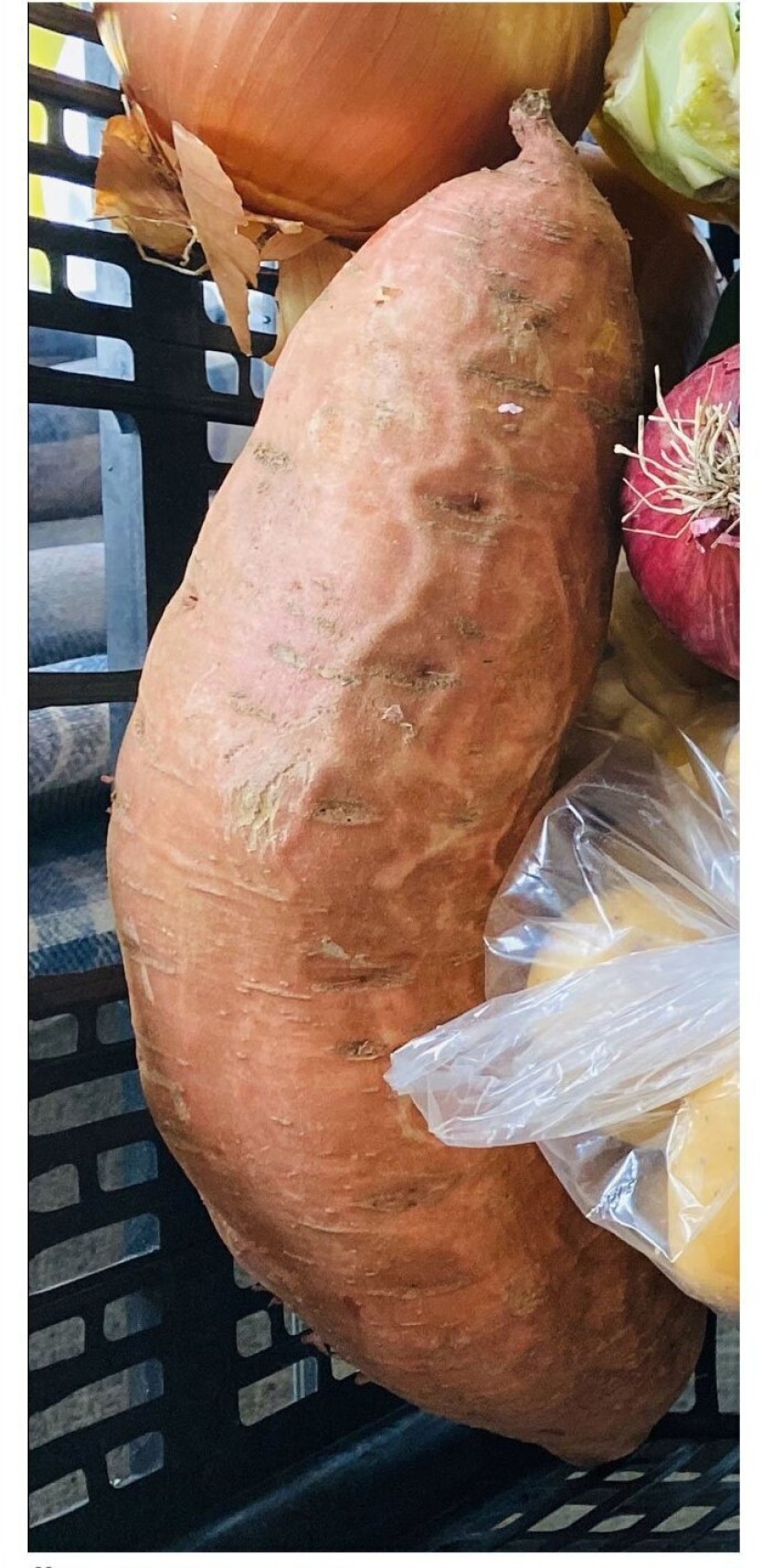 El tamaño importa! 30+ ejemplos, cuando los mensajeros trajeron el gigante de frutas y verduras El tamaño importa! 30+ ejemplos, cuando los mensajeros trajeron el gigante de frutas y verduras