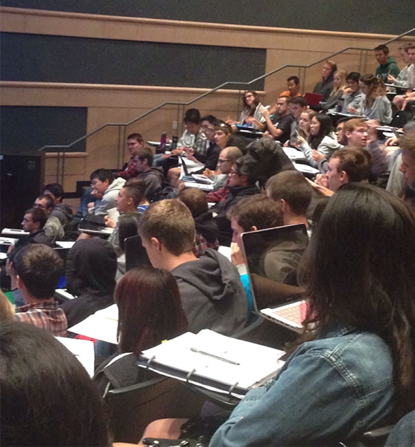 El tercer extra: maestros del disfraz, que incluso un ojo afilado indio no encontrará El tercer extra: maestros del disfraz, que incluso un ojo afilado indio no encontrará