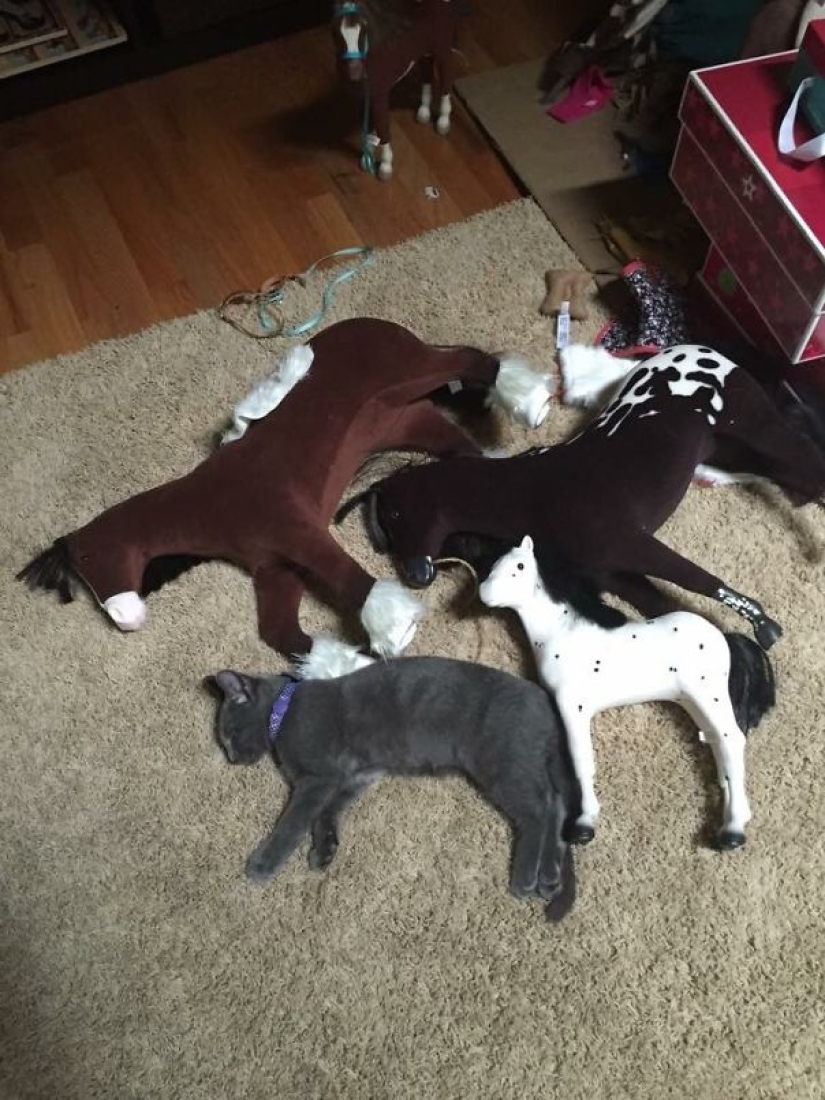 El tercer extra: maestros del disfraz, que incluso un ojo afilado indio no encontrará El tercer extra: maestros del disfraz, que incluso un ojo afilado indio no encontrará