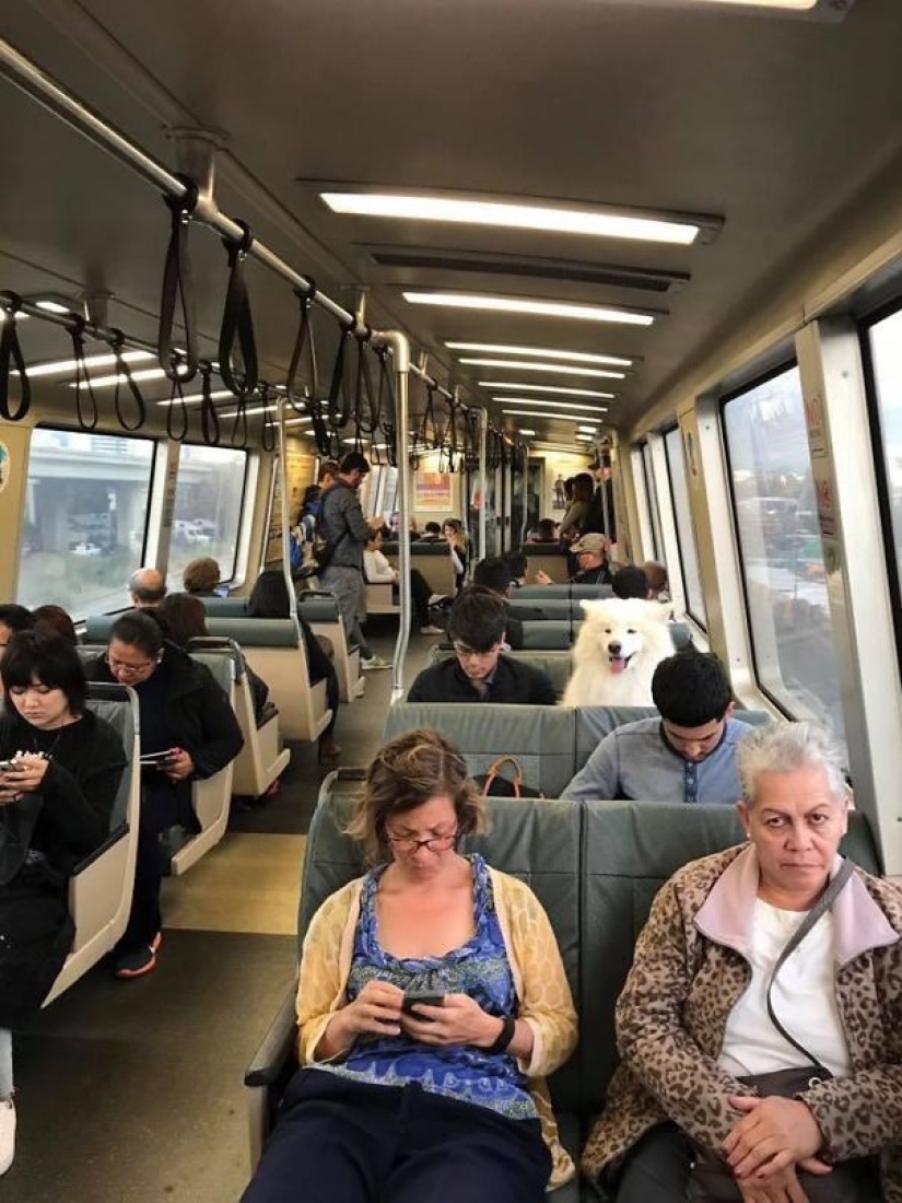 El tercer extra: maestros del disfraz, que incluso un ojo afilado indio no encontrará El tercer extra: maestros del disfraz, que incluso un ojo afilado indio no encontrará