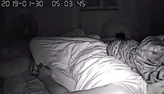 El tipo instaló una cámara en su habitación para filmar lo que hace su gato por la noche