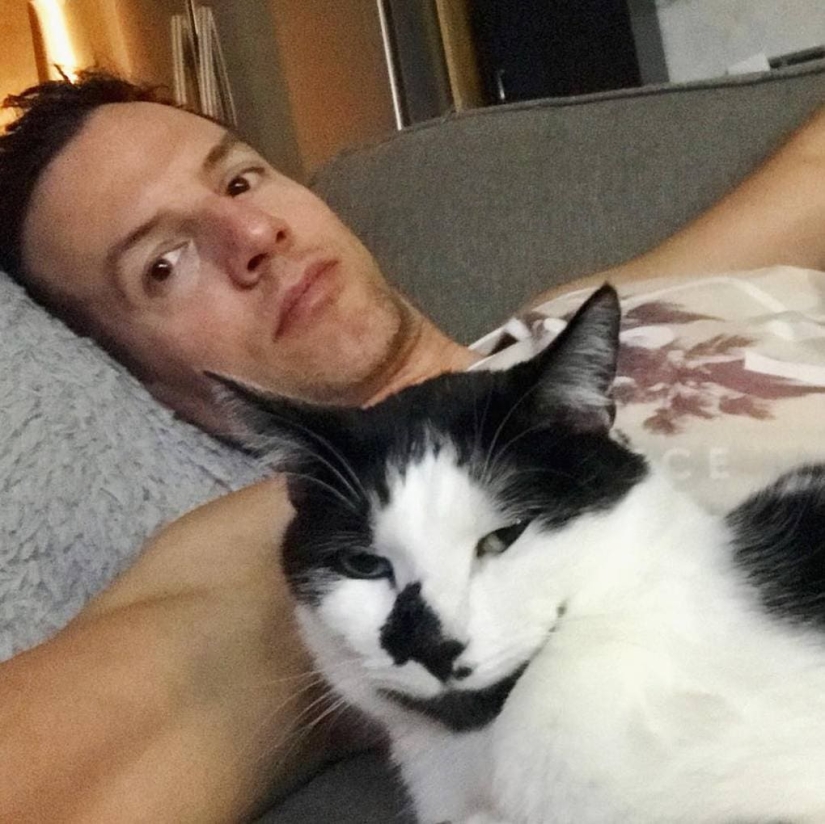 El video con gatos y usuarios: cómo los gatos extrañan a su dueño