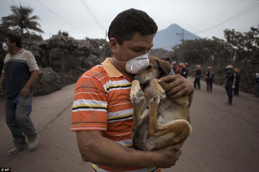 El volcán de Fuego en Guatemala mató a 69 personas en un día. El número de muertos está creciendo El volcán de Fuego en Guatemala mató a 69 personas en un día. El número de muertos está creciendo