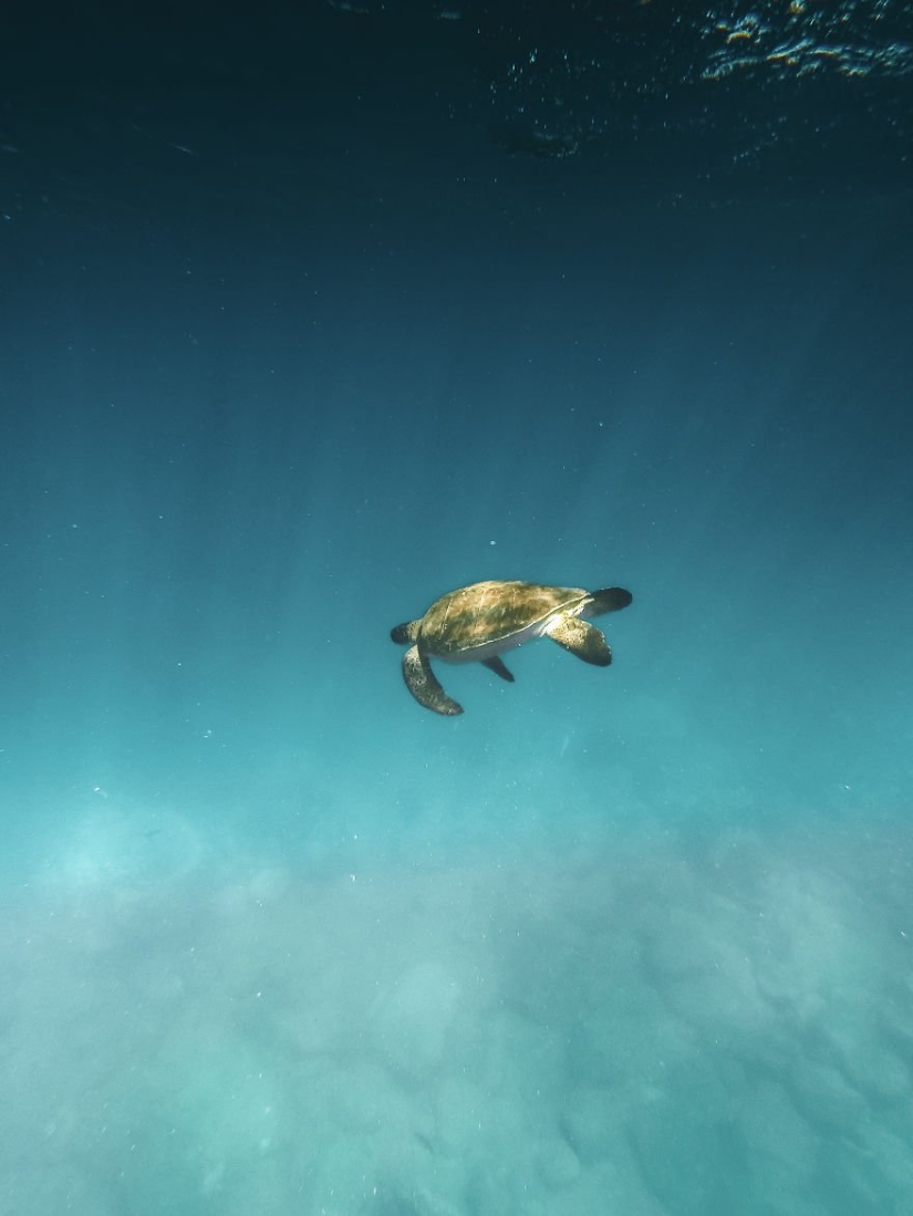 Elemento Agua: 30 mejores fotos del concurso #Water2019 que definitivamente deberías ver