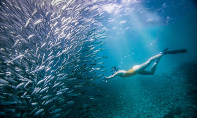 Elemento Agua: 30 mejores fotos del concurso #Water2019 que definitivamente deberías ver