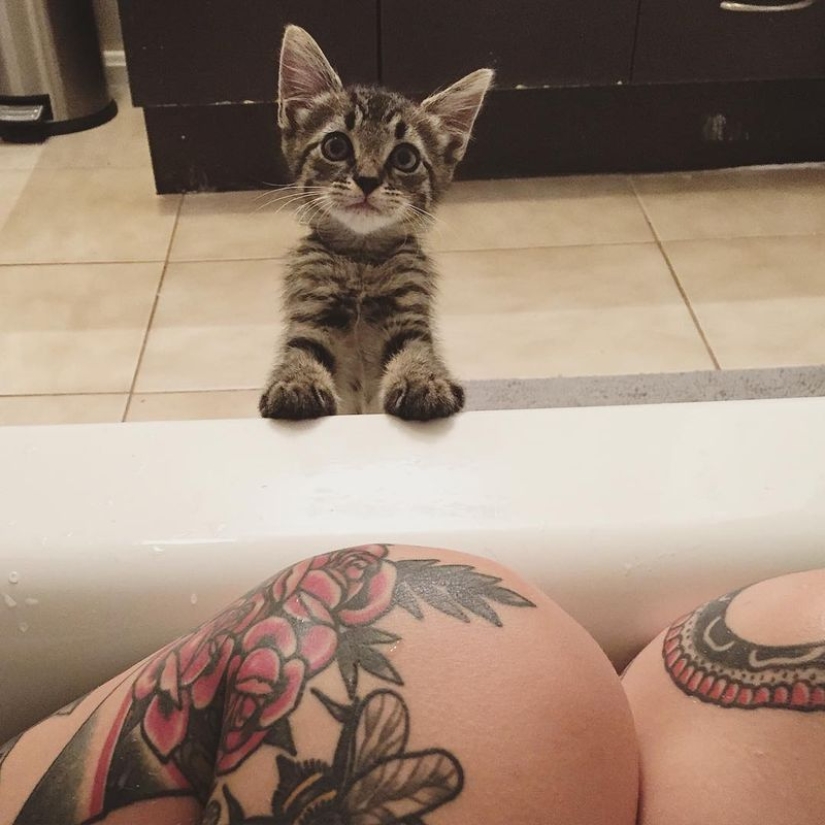 Ella salva gatitos. El trabajo más lindo del mundo Ella salva gatitos. El trabajo más lindo del mundo