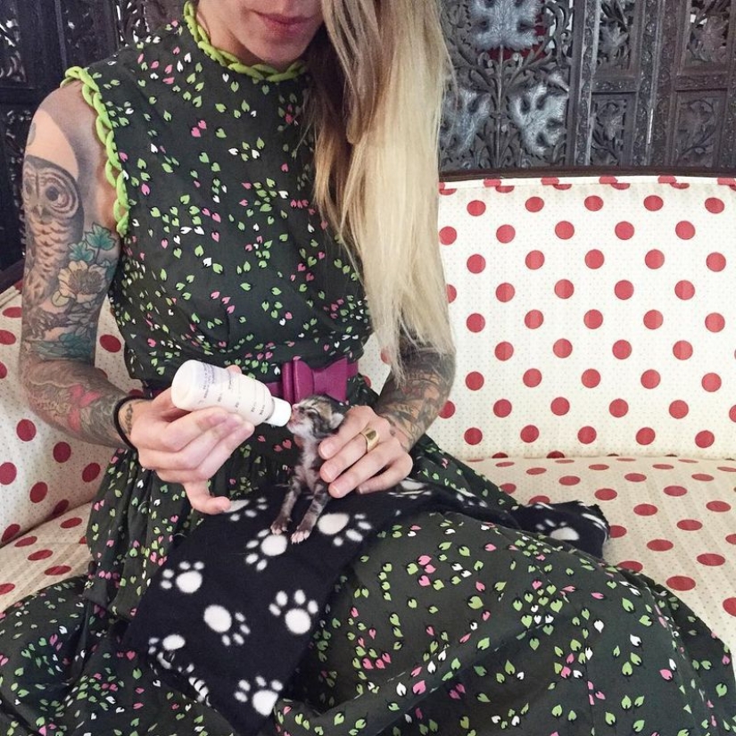 Ella salva gatitos. El trabajo más lindo del mundo Ella salva gatitos. El trabajo más lindo del mundo