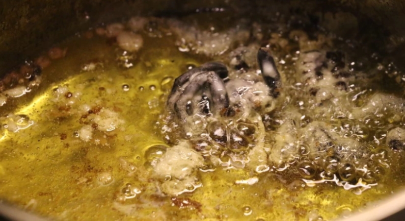 "Empecé a alucinar y pensar en la muerte" : Un periodista australiano comió escarabajos durante una semana en aras de un experimento