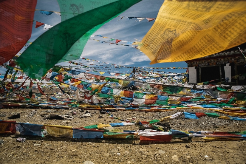 En busca de magia: Caminando en la luna En busca de magia: Caminando en la luna