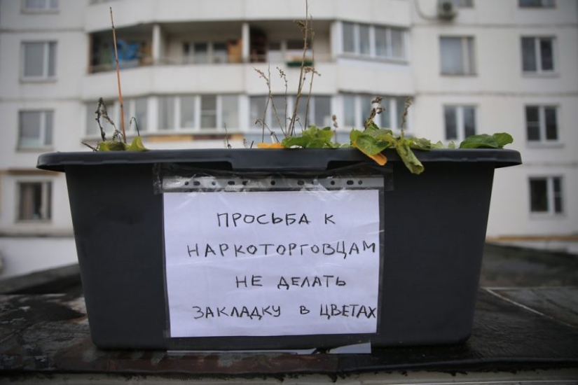 En cautiverio de la "Hidra", o cómo los narcotraficantes usan los videos de otras personas para sus propios fines