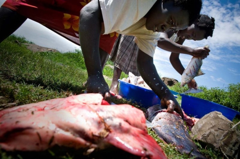 En condiciones de hacinamiento, pero no ofendido: ¡la isla más superpoblada del planeta! En condiciones de hacinamiento, pero no ofendido: ¡la isla más superpoblada del planeta!