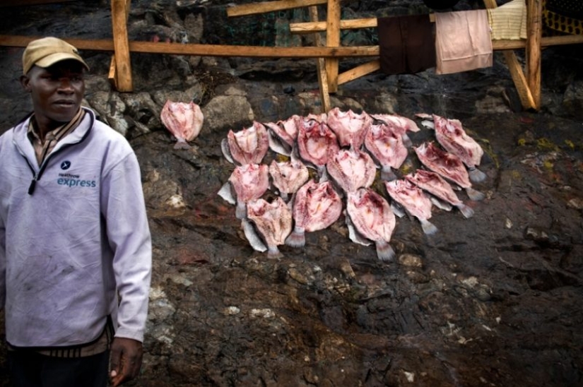 En condiciones de hacinamiento, pero no ofendido: ¡la isla más superpoblada del planeta! En condiciones de hacinamiento, pero no ofendido: ¡la isla más superpoblada del planeta!