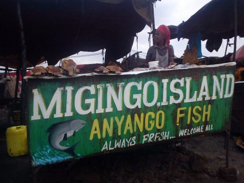 En condiciones de hacinamiento, pero no ofendido: ¡la isla más superpoblada del planeta! En condiciones de hacinamiento, pero no ofendido: ¡la isla más superpoblada del planeta!