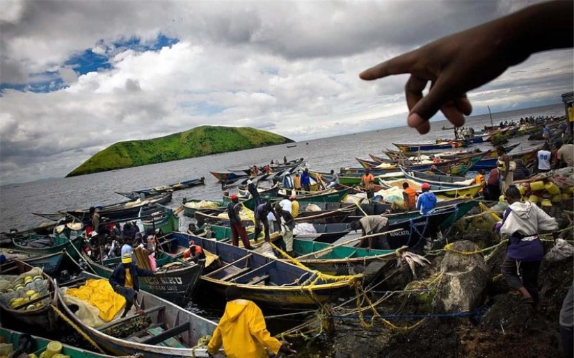 En condiciones de hacinamiento, pero no ofendido: ¡la isla más superpoblada del planeta! En condiciones de hacinamiento, pero no ofendido: ¡la isla más superpoblada del planeta!
