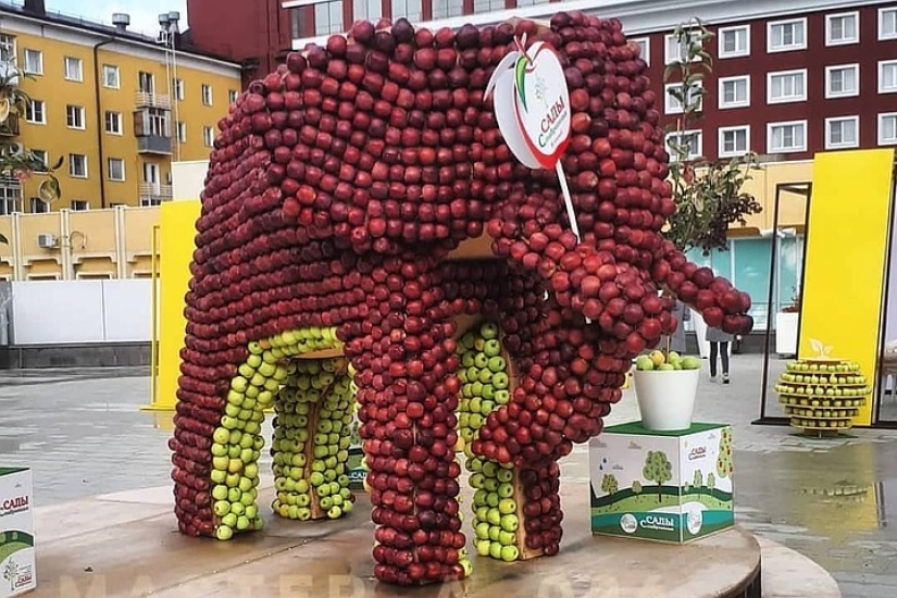 En el Día de la ciudad, los residentes de Stavropol se comió un elefante y royó la corona de un árbol