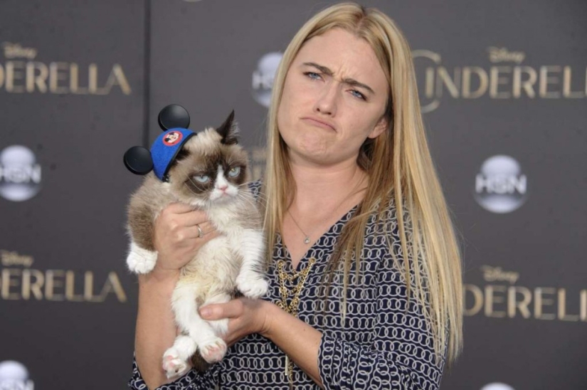 En el mundo de los animales asombrosos.