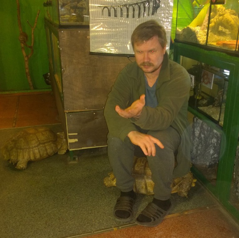 En el zoológico de Irkutsk, las tortugas intentaron escapar, pero fueron traicionadas por un gato guardián