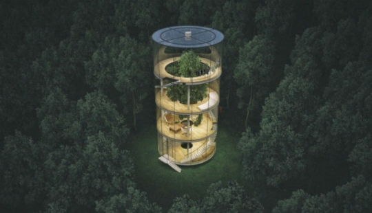 En esta casa, en lugar de flores de interior, crece un árbol de verdad