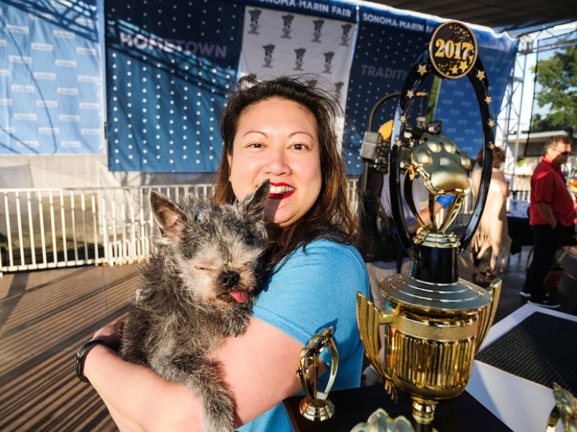 En Estados Unidos, eligieron al "perro más feo del mundo"