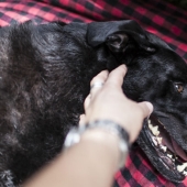 "En este día morí"