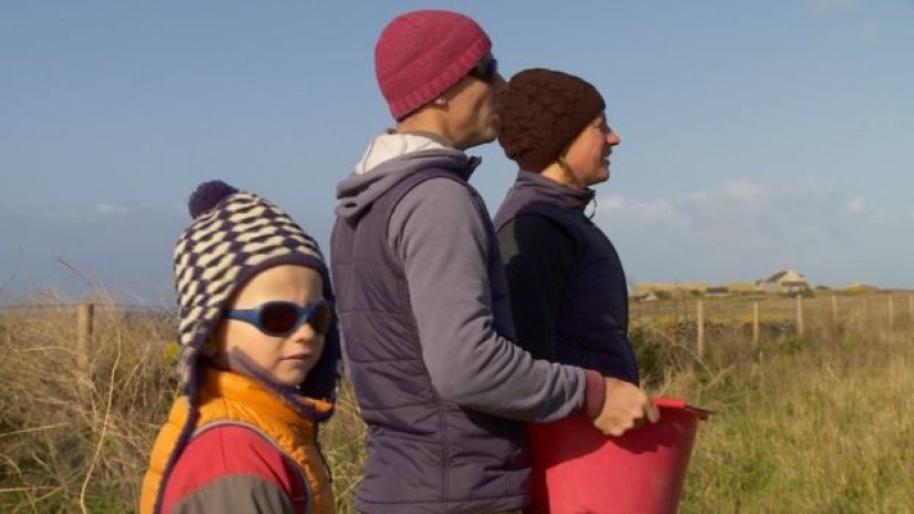 En Francia, buscan introvertidos que vivan en una isla con focas, ovejas y conejos En Francia, buscan introvertidos que vivan en una isla con focas, ovejas y conejos