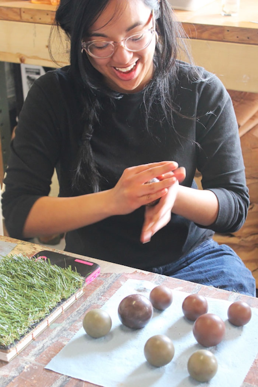 En Japón, llegaron a la tierra: las bolas japonesas pulidas del suelo a un brillo perfecto