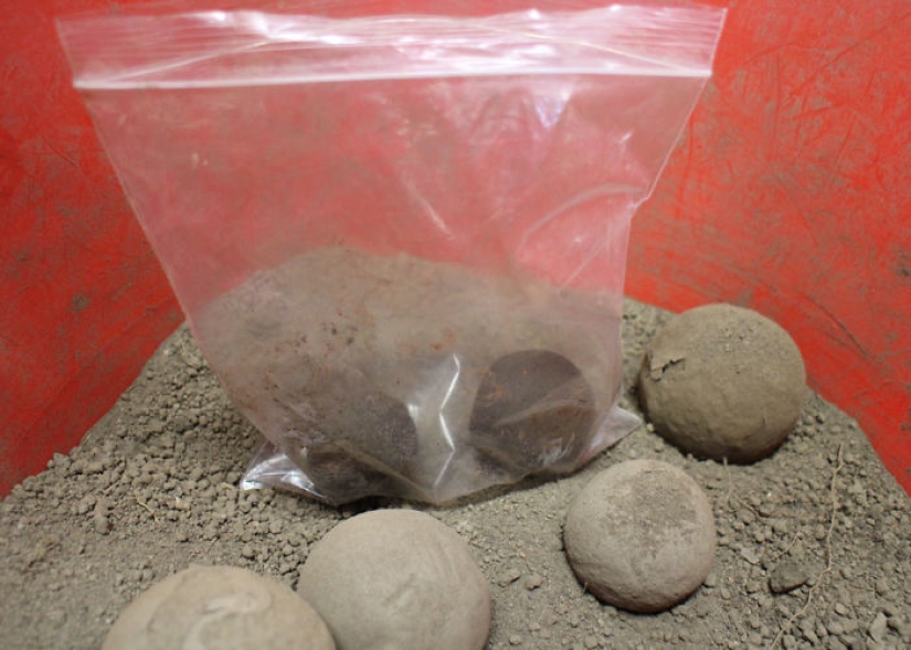 En Japón, llegaron a la tierra: las bolas japonesas pulidas del suelo a un brillo perfecto