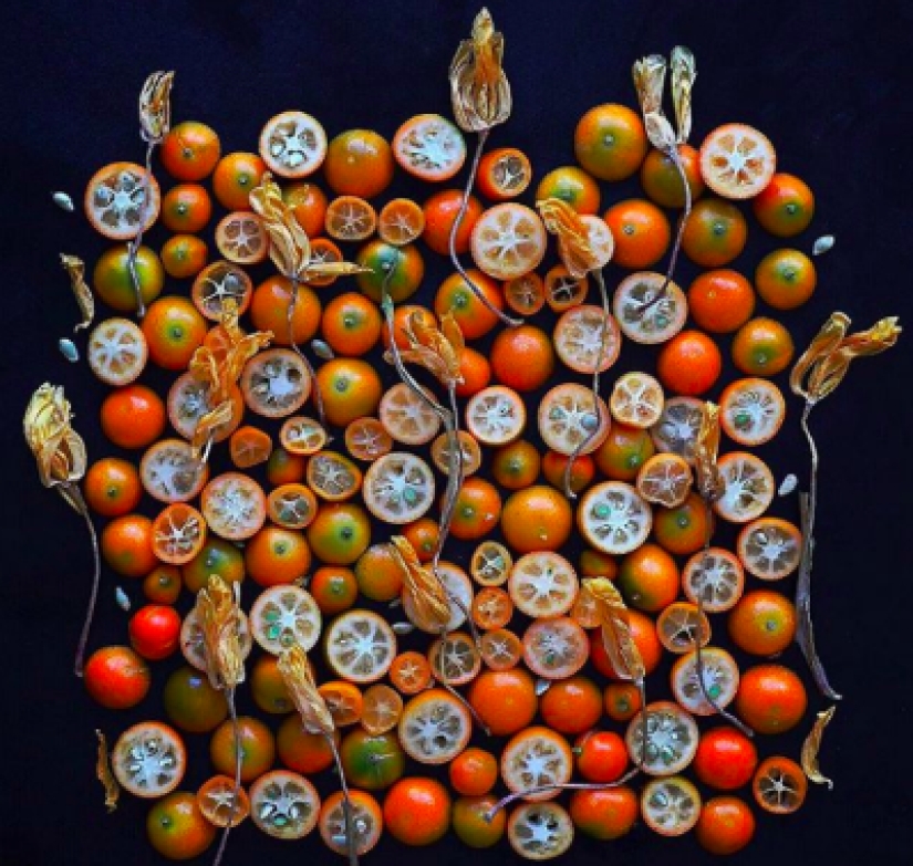 En la cara de la comida terrible y deliciosa: una mujer estadounidense elogia la comida "fea" en Instagram