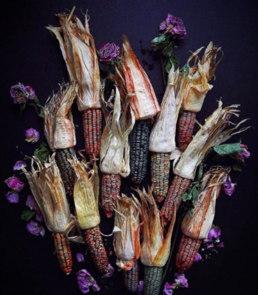 En la cara de la comida terrible y deliciosa: una mujer estadounidense elogia la comida "fea" en Instagram