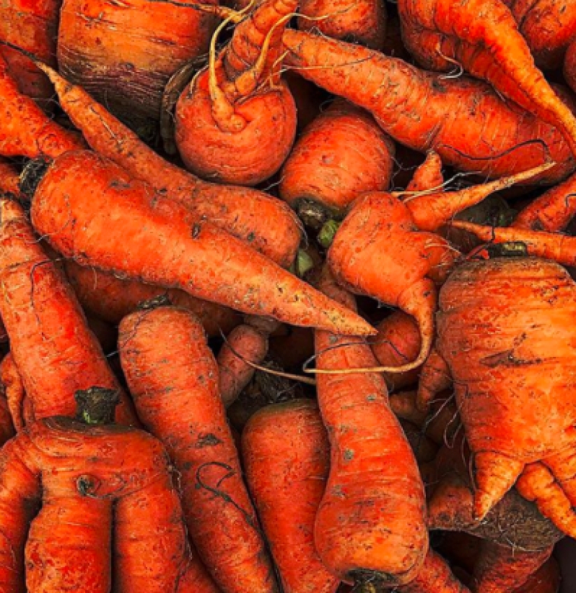 En la cara de la comida terrible y deliciosa: una mujer estadounidense elogia la comida "fea" en Instagram